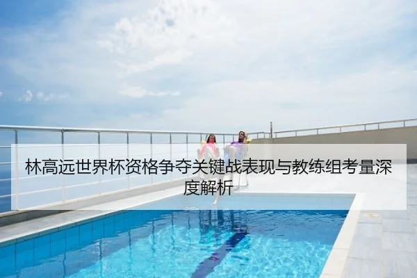 林高远世界杯资格争夺关键战表现与教练组考量深度解析