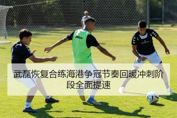武磊恢复合练海港争冠节奏回暖冲刺阶段全面提速